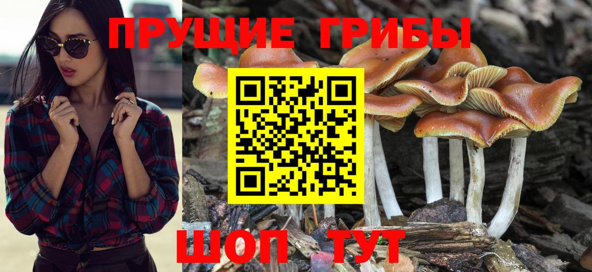 Галлюциногенные грибы мухоморы  Вход с VPN  Галлюциногенные грибы мицелий  Артёмовский 